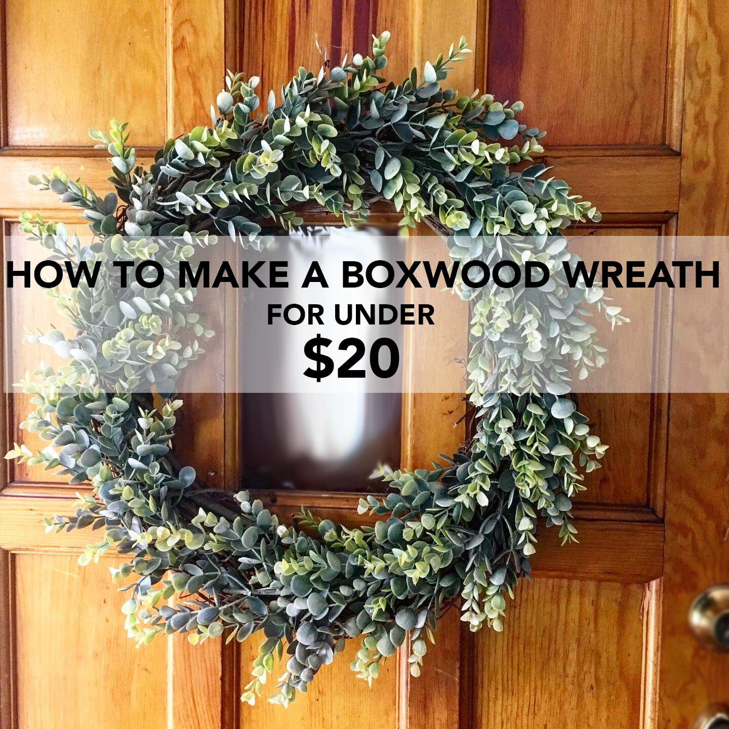Here is our complete tutorial for How to make a Boxwood wreath for under $20.